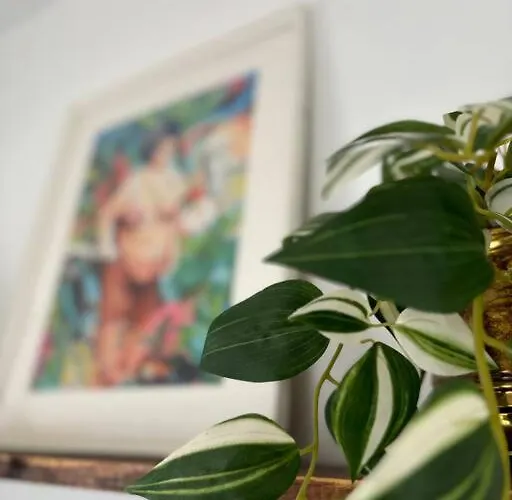 Appartement La Casa De Eloisa *